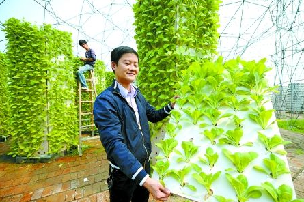 种植农村项目申请报告_种植农村项目有哪些_农村种植项目